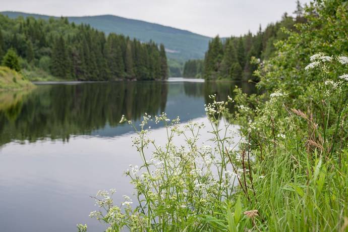4 rum villa på Höljesvägen 28 Höljes, Torsby kommun - bild 3