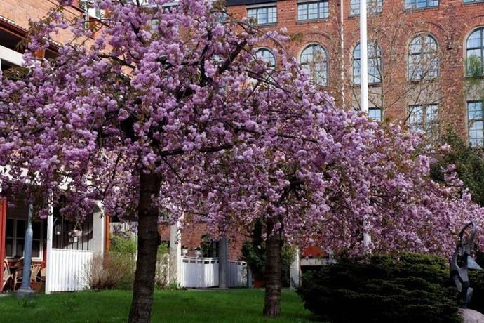 2.5 rum Lägenhet på Garvaregatan 12 Centralt Norrköpings kommun - bild 29