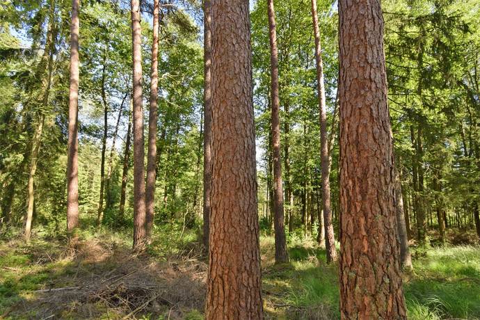7 rum Gård/skog på Odensjö-Hyltan 1 Småland Ljungby kommun - bild 57