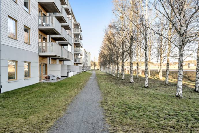 1 rum Lägenhet på Göte Turessons väg 7B Ultuna Uppsala kommun - bild 29