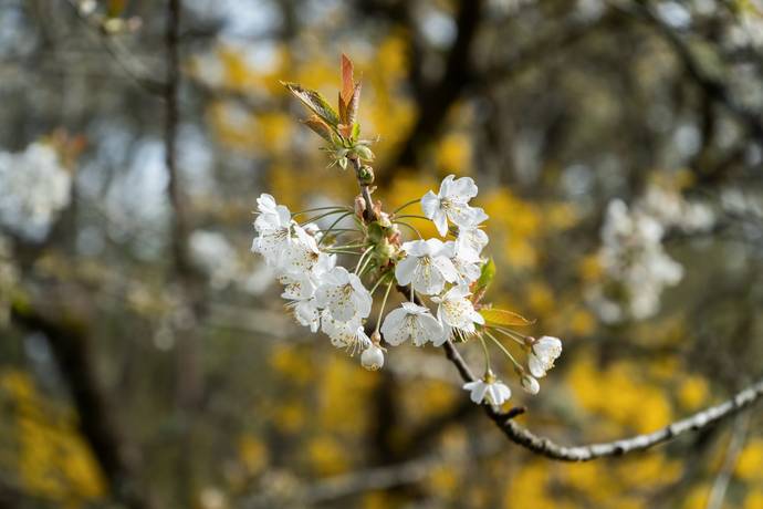 3 rum Fritidsboende på Valön 404 Nösund Orust kommun - bild 35