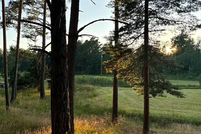 tomt på Edövägen 10 Svartnö - Furusund, Norrtälje kommun - bild 5