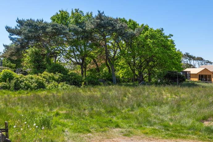 Tomt på Sejernäsvägen 174B Gamla Köpstad Varbergs kommun - bild 6