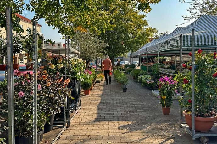 3 rum Lägenhet på Norrevångsgatan  Centrum Vellinge kommun - bild 29