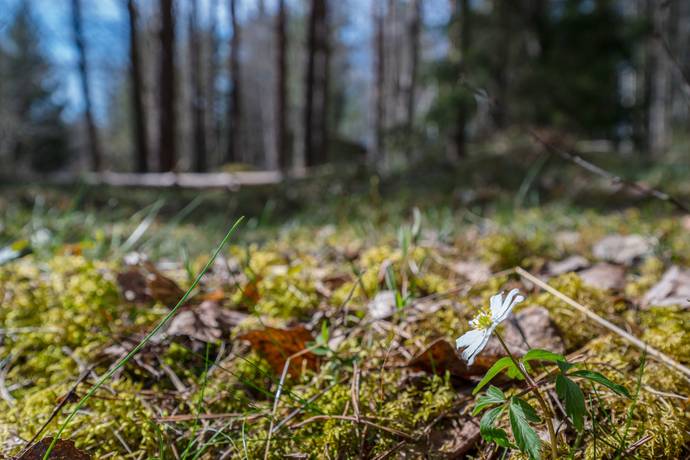 Tomt på Ubby 1:43 Vallentuna kommun - bild 11