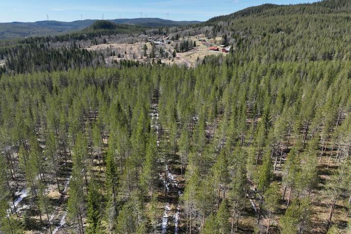 Gård/skog på Torrvål 13:5 Orsa kommun - bild 19