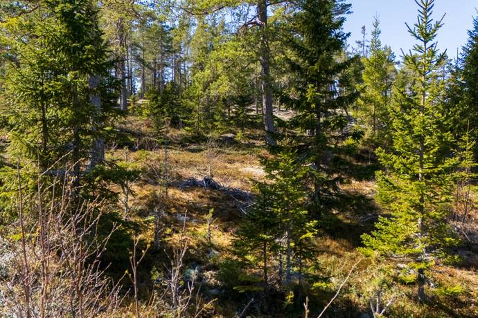 Tomt på Västerlandet 206 Norrfällsviken Kramfors kommun - bild 8