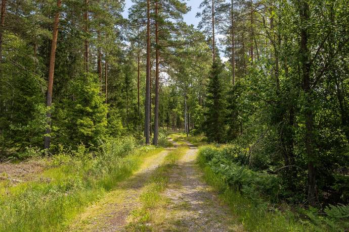 gård/skog på Nästeshult 1:20 Gissebo, Västerviks kommun - bild 2