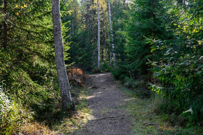 5 rum Villa på Larberg 408 Hammarö kommun - bild 50