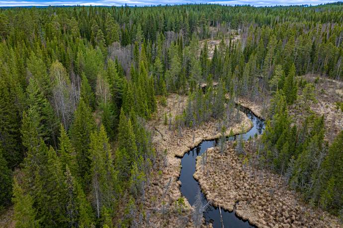 gård/skog på Kallsta Lit, Östersunds kommun - bild 1