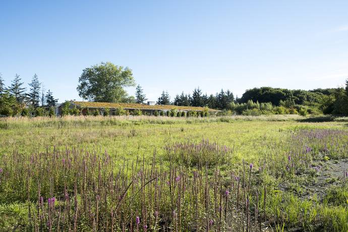 4 rum Lägenhet på Lönnebergagatan 31 Gyllins Trädgård Malmö kommun - bild 41