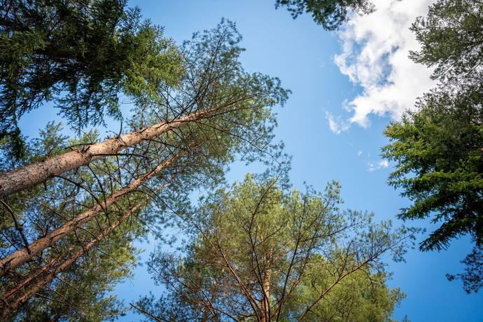Gård/skog på Edsmon 151 Sollefteå kommun - bild 30