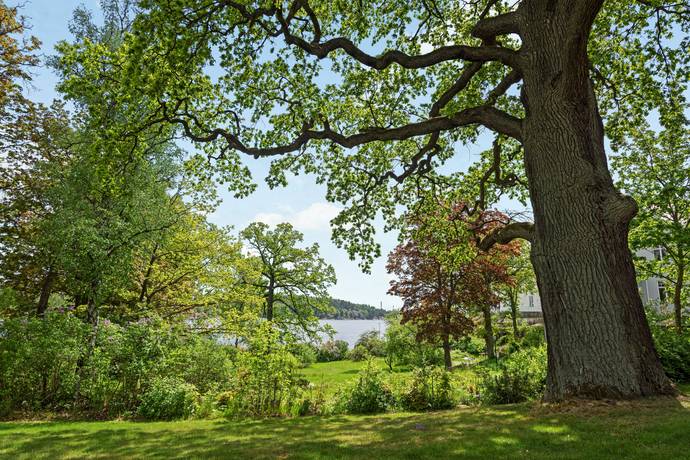 3 rum Lägenhet på Auravägen 4A Djursholm Danderyds kommun - bild 18