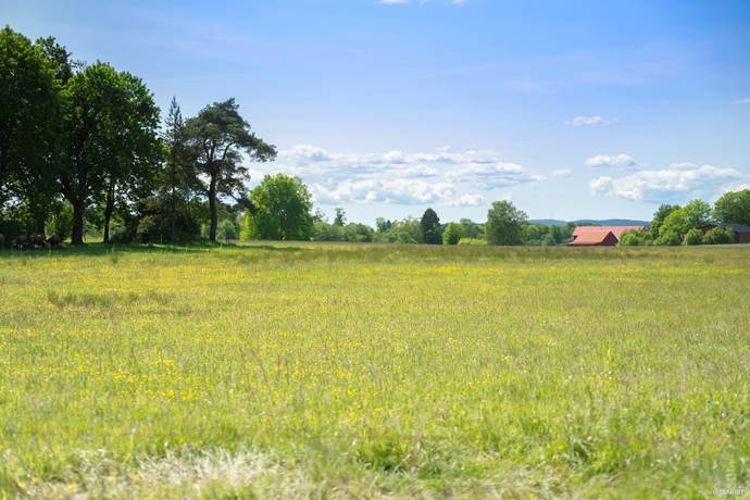 80 m² Gård med jordbruk på Vittene Olofsgården   Vittene Vårgårda kommun - bild 30