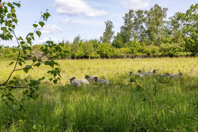 56 m² Villa på Hummerstigen 12 Snäckstrand Mörbylånga kommun - bild 21