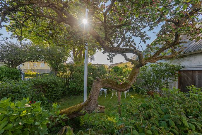 4 rum Vinterbonat fritidshus på Hammarby 104 Södra Öland Mörbylånga kommun - bild 17