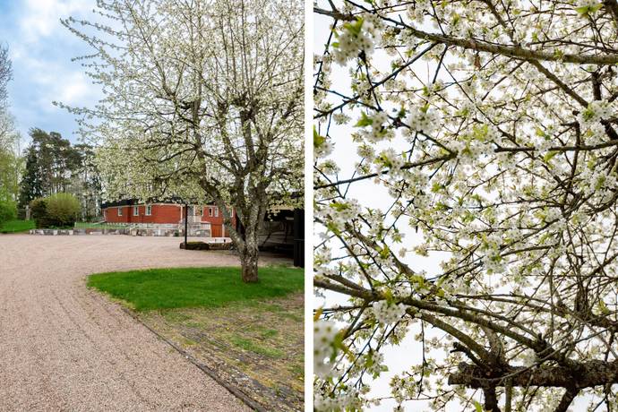 11 rum Villa på Tråvad Gammaltråvad 9 Tråvad Vara kommun - bild 48