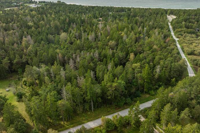 SKOGSFASTIGHET I TOFTA, Tofta, Gotlands kommun