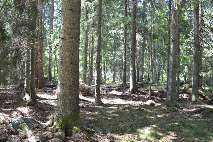 Rörsmåla, Karlskrona kommun