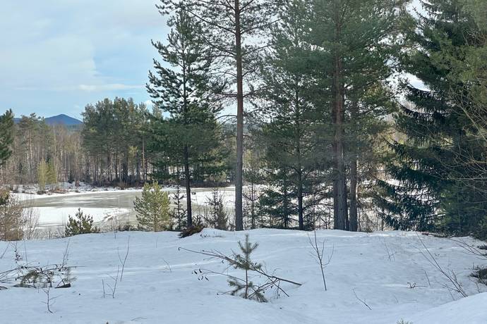 Gård/skog på Sångsjövägen 3 Västansjö Härjedalens kommun - bild 5