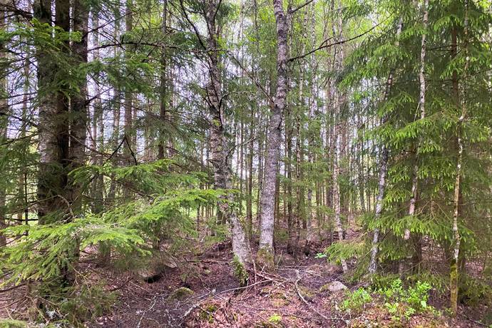 Gård med jordbruk på Dannäs Jonsbo 4 Dannäs ca 4 km från sjön Bolmen Värnamo kommun - bild 29