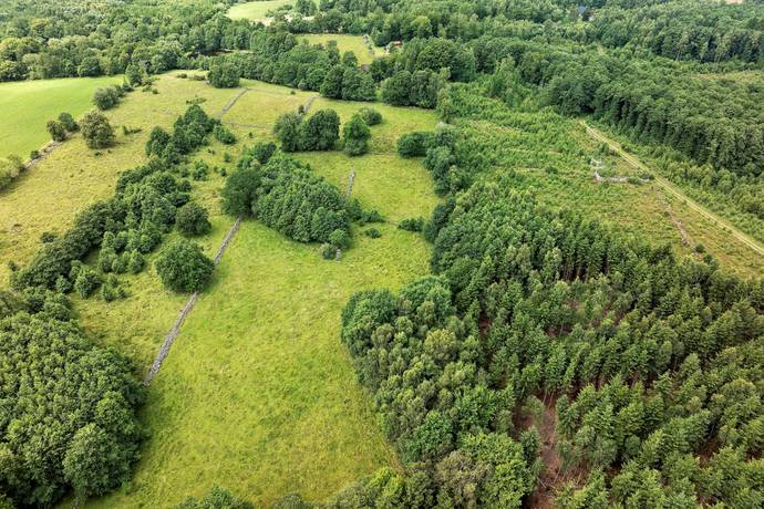 3 rum gård/skog på Starrarps Oreväg 120 Vollsjö, Sjöbo kommun - bild 3