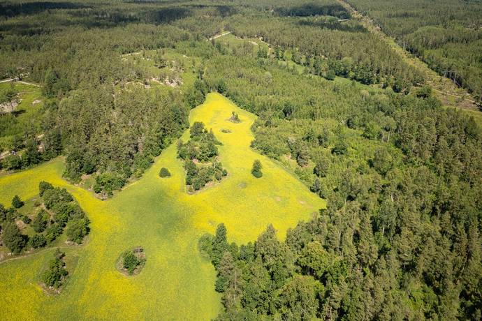 gård/skog på Nästeshult 1:20 Gissebo, Västerviks kommun - bild 1