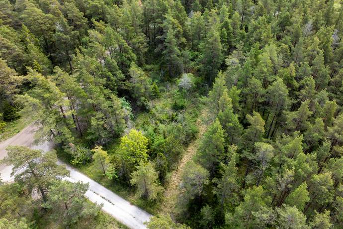 tomt på Rute Puttersjaus Norra Gotland - Rute, Gotlands kommun - bild 3
