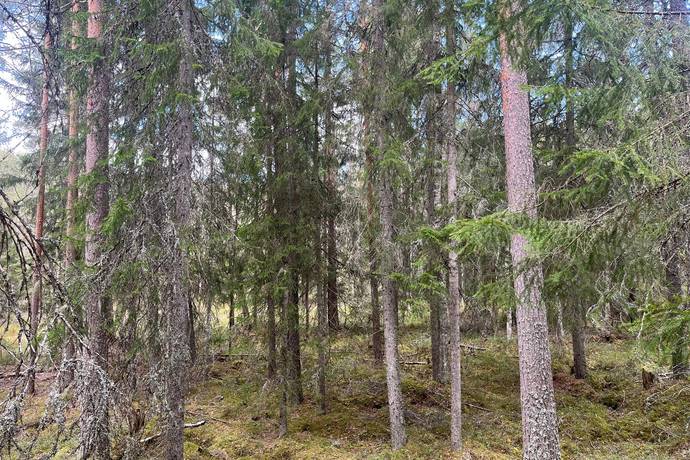 Gård med skogsbruk på Leksand Ytteråkerö 21:21 Björberget Leksands kommun - bild 30
