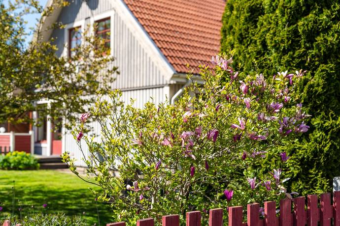 6 rum Villa på Borgmästaregatan 12 Skänninge Mjölby kommun - bild 26