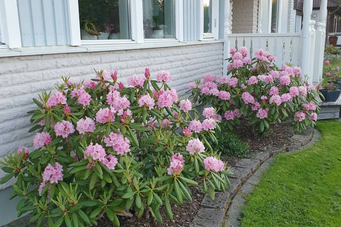 6 rum Villa på Rotegatan 25 Byske Skellefteå kommun - bild 37