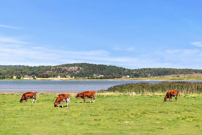 2 rum Fritidshus på Bränna 160 Kode Kungälvs kommun - bild 17
