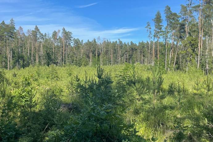 gård med skogsbruk på Björke Harkvie Romakloster, Gotlands kommun - bild 1