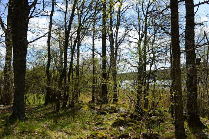 235 m² Gård utan jordbruk på Överselö Lindö äng 4 Strängnäs kommun - bild 77