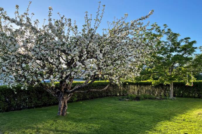 7 rum Villa på Buxbomsvägen 14 Måsta Eskilstuna kommun - bild 44