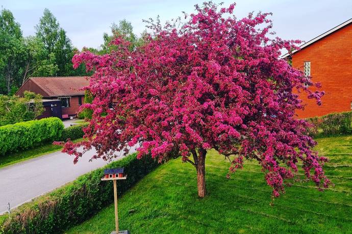 6 rum villa på Tranvägen 25 Timrå, Timrå kommun - bild 5