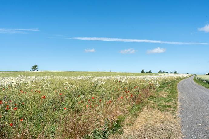 8 rum villa på Hannåsavägen 17 Hannas, Simrishamns kommun - bild 4