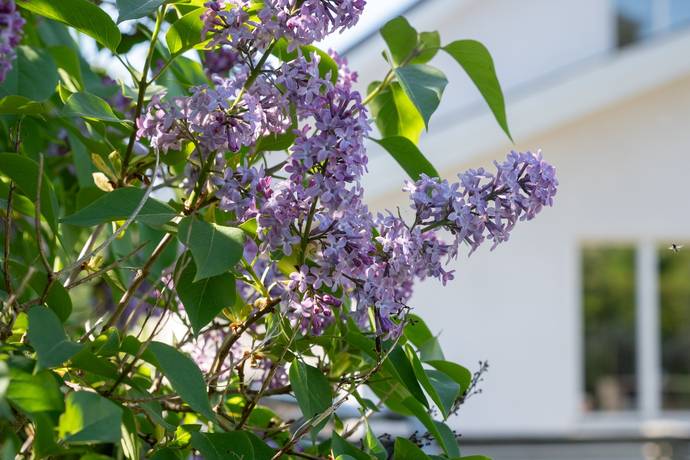 7 rum villa på Vibynäsgatan 1 Gamla Råslätt, Jönköpings kommun - bild 5