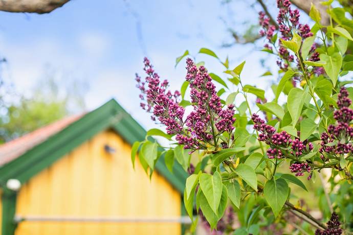 1 rum Lägenhet på Lagergrensgatan 31 Söder Norrköpings kommun - bild 22