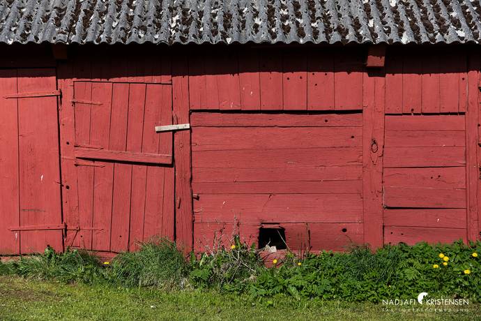 150 m² Gård/skog på Erikstorpsvägen 107 Boarp Båstads kommun - bild 13