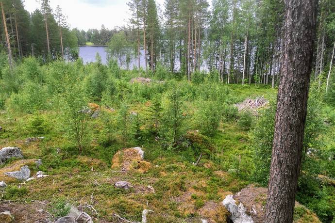 tomt på Landön Landön, Krokoms kommun - bild 1