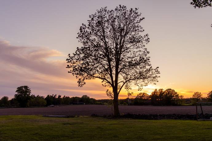 8 rum Gård utan jordbruk på Borshorva 213 Förlösa Kalmar kommun - bild 77