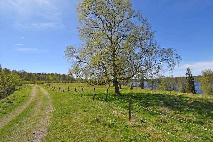 10 rum Gård/skog på Baggekulla 101, 102, 103, 104 Västergötland Ulricehamns kommun - bild 85