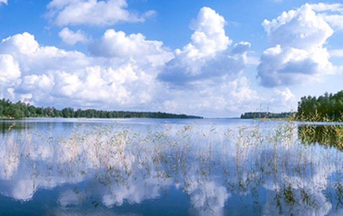7 rum Gård/skog på Odensjö-Hyltan 1 Småland Ljungby kommun - bild 67