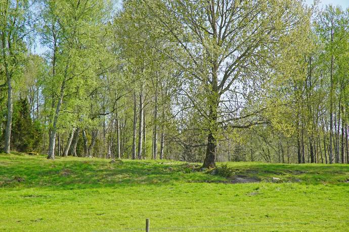 Gård/skog på Övre Hammarby Haninge kommun - bild 11