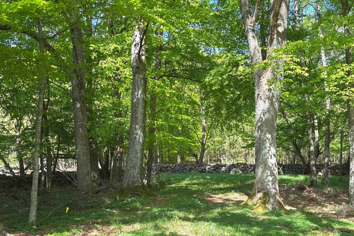 5 rum Gård/skog på Tunby 3206 Tomelilla kommun - bild 26