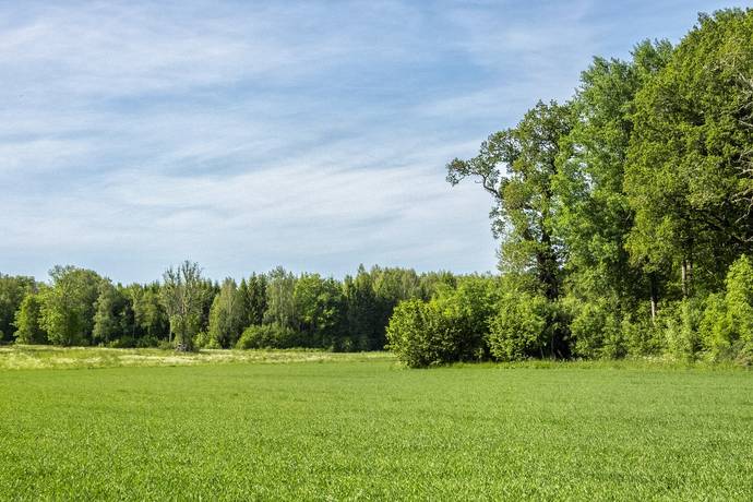 10 rum Gård/skog på Harbonäs säteri Heby- Uppland Heby kommun - bild 25