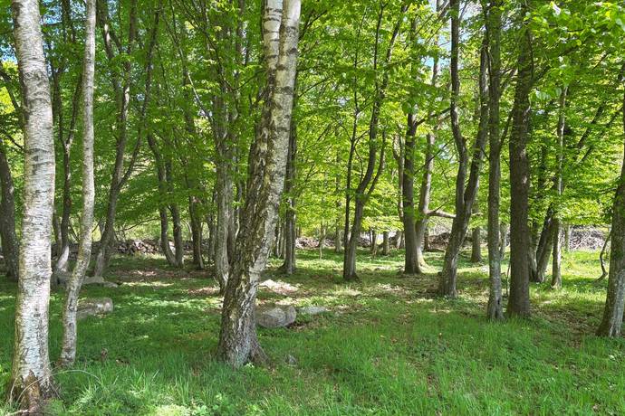 5 rum Gård/skog på Tunby 3206 Tomelilla kommun - bild 28