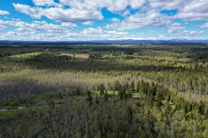 Gård/skog på Åre Rörön 1:2, 2:2 samt 2:3 Åre kommun - bild 18