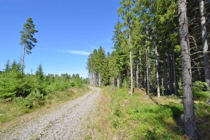 7 rum Gård/skog på Odensjö-Hyltan 1 Småland Ljungby kommun - bild 56